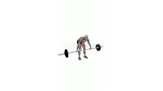 Barbell Snatch (2)