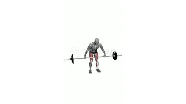 Barbell Snatch (5)