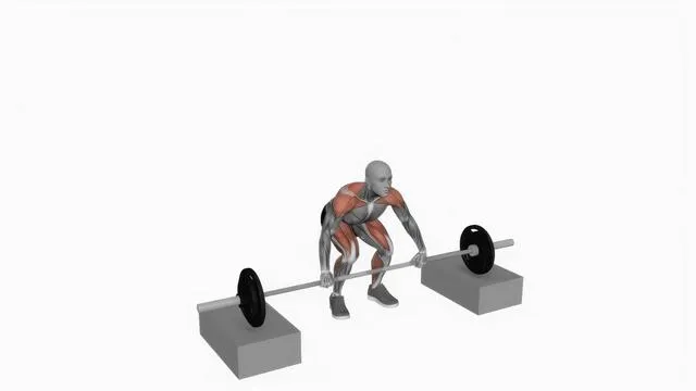 Barbell Snatch (7)