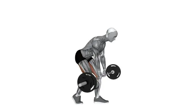 Barbell Staggered Deadlift (2)