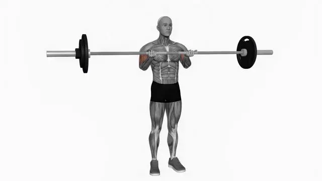 Barbell standing close grip curl (2)