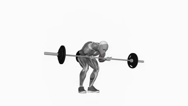 Barbell standing concentration curl (2)