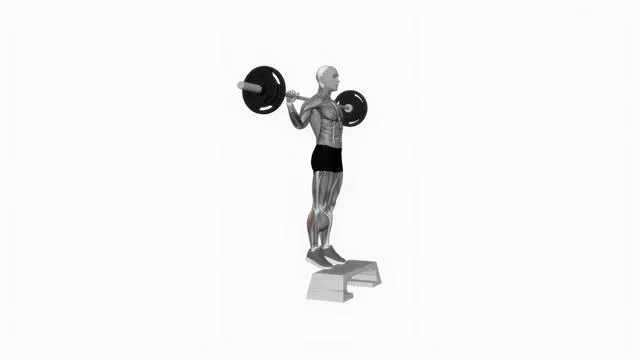 Barbell standing leg calf raises (2)