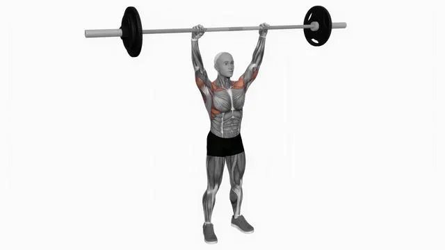 Barbell standing shoulder press (2)