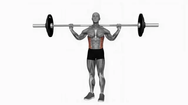 Barbell standing twist (2)