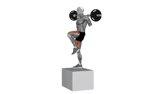 Barbell Step Up Balance On Box (2)