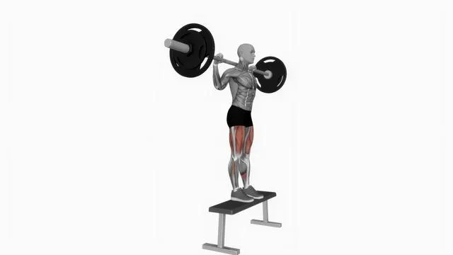 Barbell step up on bench (2)