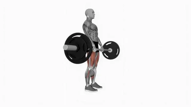 Barbell straight leg deadlift (2)