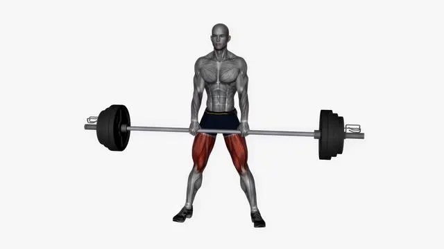 Barbell sumo deadlift (3)