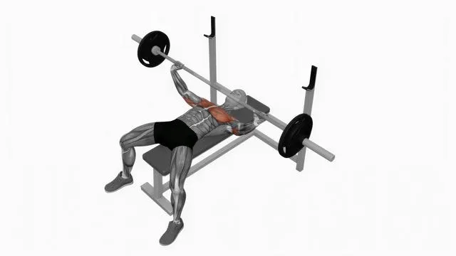 Barbell wide bench press (2)