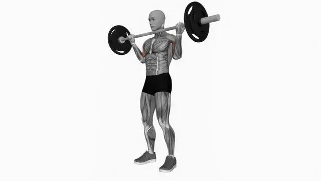 Barbell wide grip biceps curl (2)