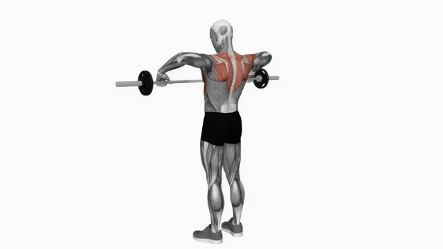 Barbell wide grip upright row (2)