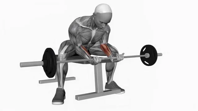 Barbell wrist curl wide legs (2)