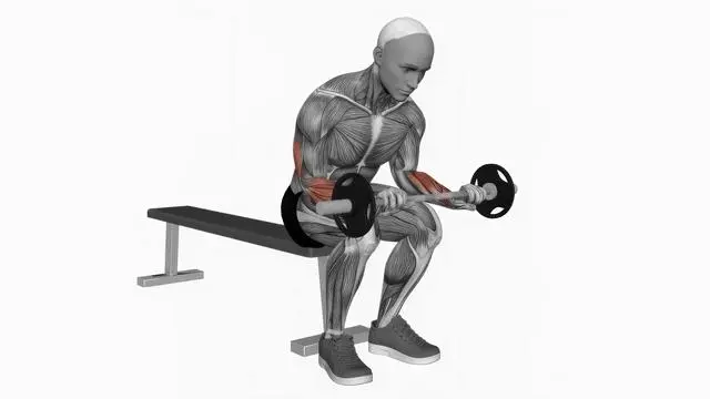Barbell wrist extension on knees (2)