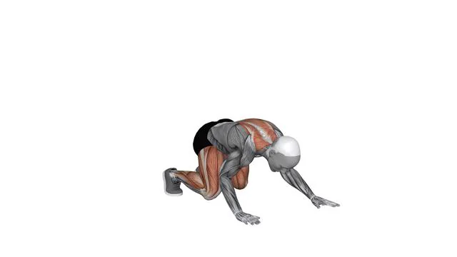 Bear crawls (2)