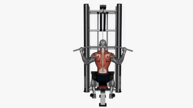 Behind neck lat pull down machine (2)