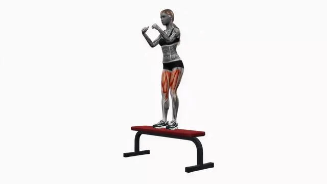 Bench alternating step ups (2)