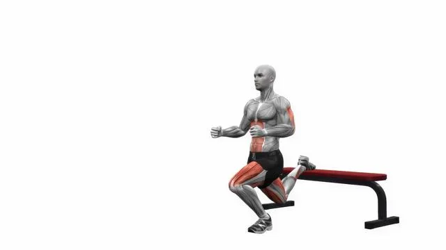 Bench Bulgarian Split Squats left (2)