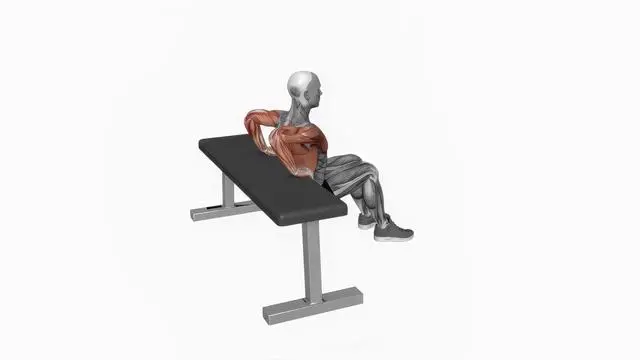 Bench dip (knees bent) (2)