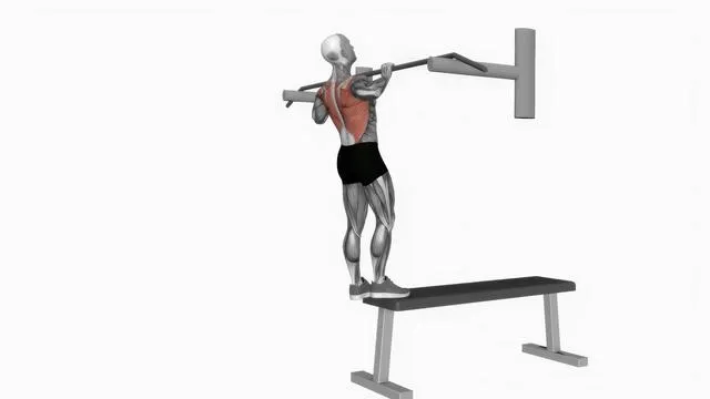 Bench pull-ups (2)