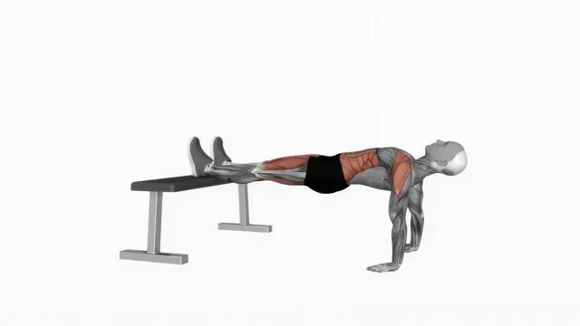 Bench Reverse Plank Hold (2)