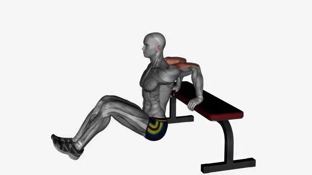 Bench triceps dip leg curls (2)