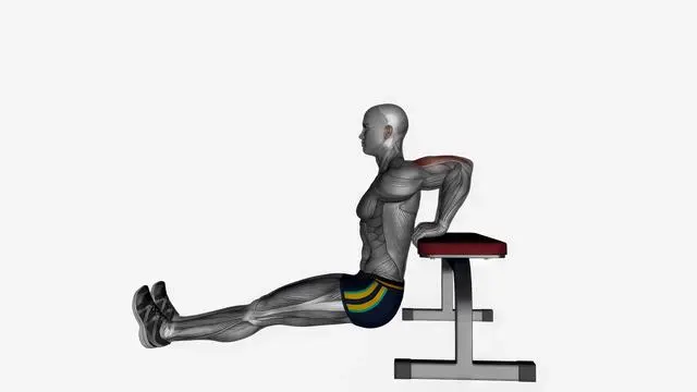 Bench triceps dip straight legs (2)