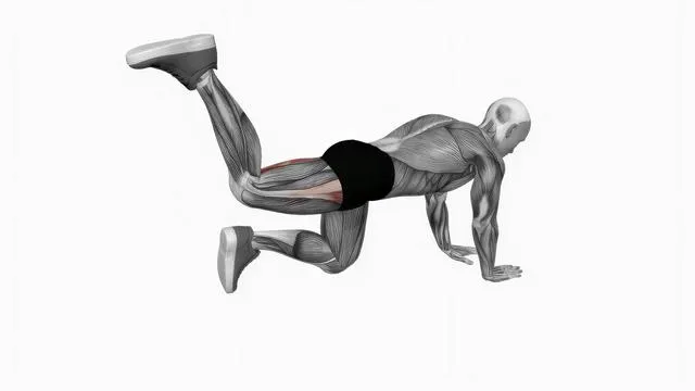 Bent knee back to side kick (2)