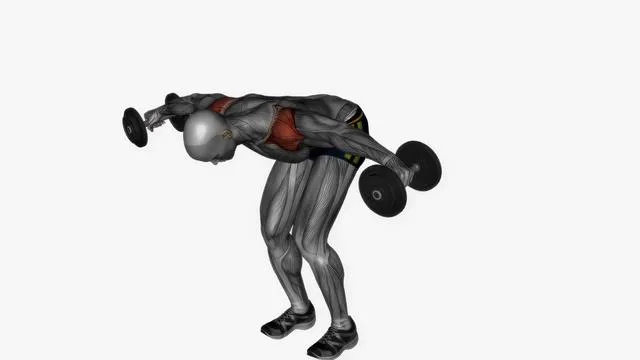 Bent over rear delt fly dumbbell (2)