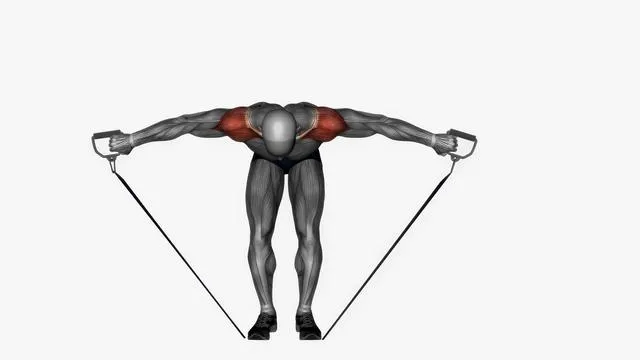 Bent over rear deltoid fly Resistance band (2)