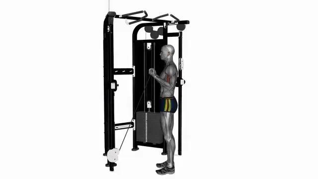 Bicep curl low cable machine normal grip (2)