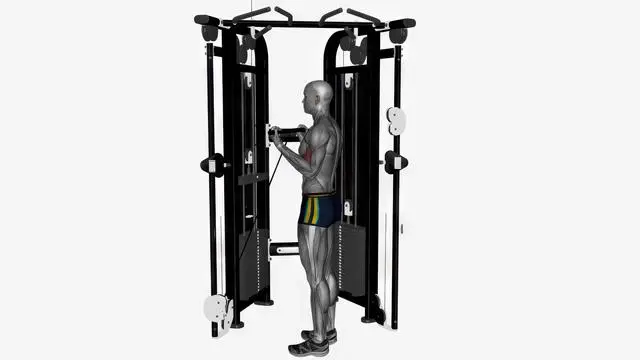 Biceps curl cable (6)
