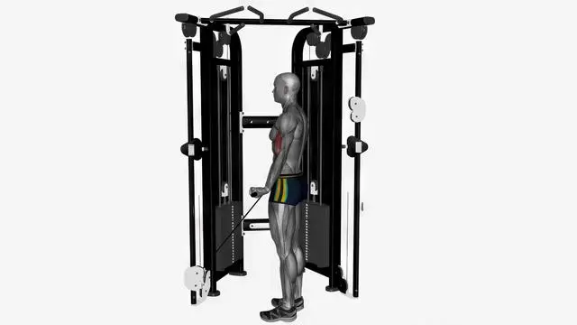 Biceps curl cable wide grip (3)