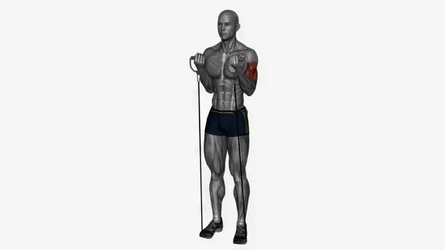 Biceps curl Resistance band (2)
