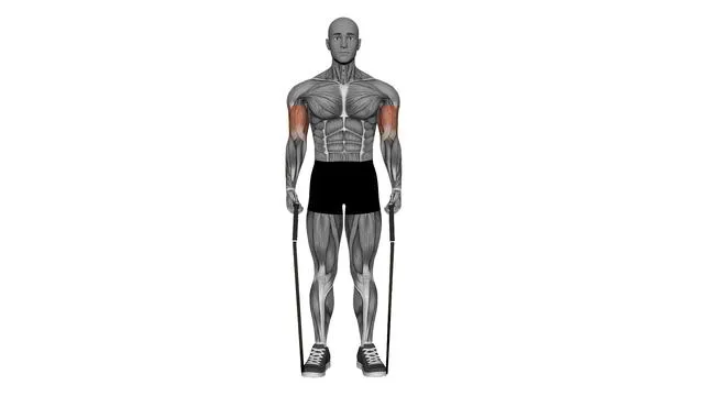 Biceps curl Resistance band (3)