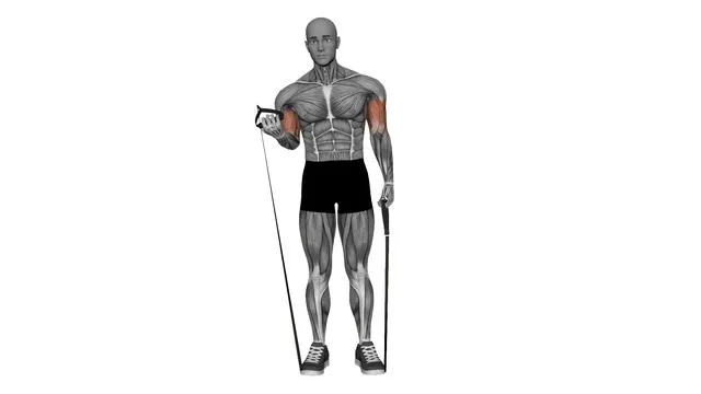 Biceps curl Resistance band (4)