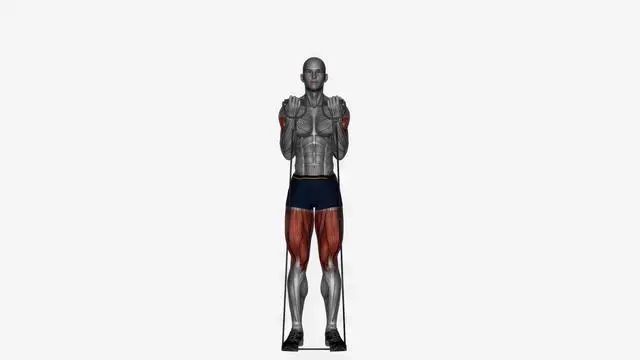 Biceps curl to shoulder press Resistance band (2)