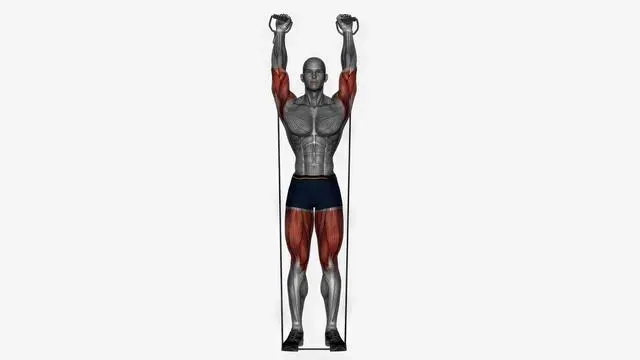 Biceps curl to shoulder press Resistance band (3)