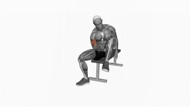 Biceps leg concentration curl (2)