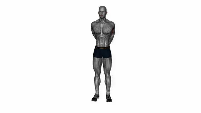 Biceps stretch behind the back (2)