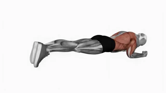 Body saw plank (2)