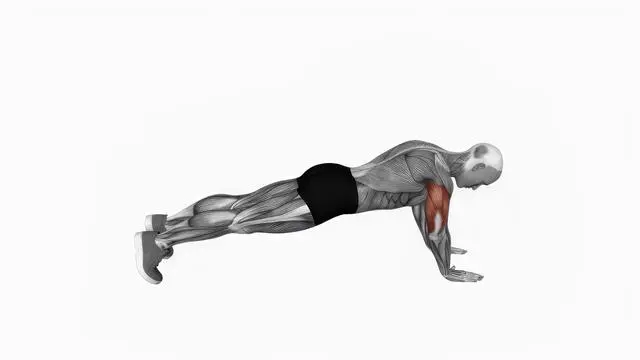 Body-up (2)