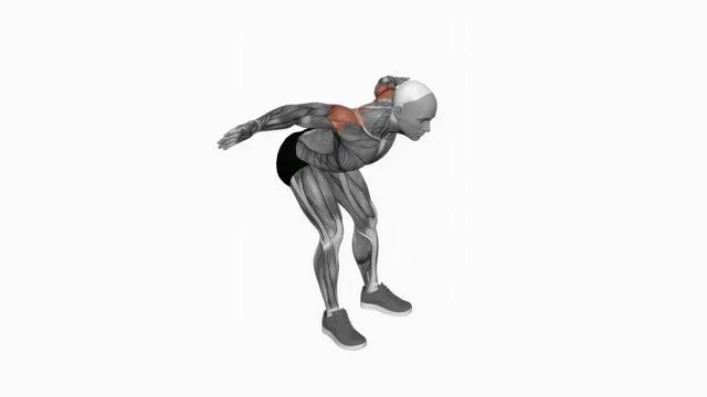 Bodyweight bent over rear delt fly (2)