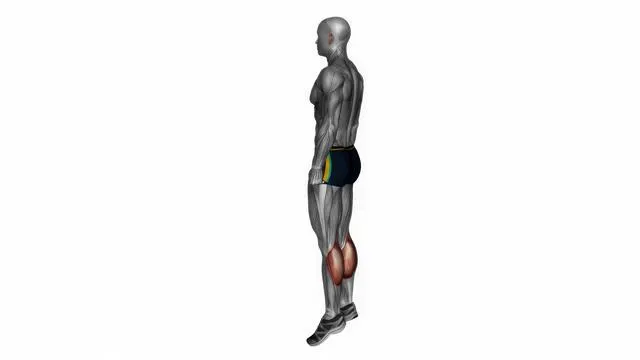 Bodyweight calf raises (2)