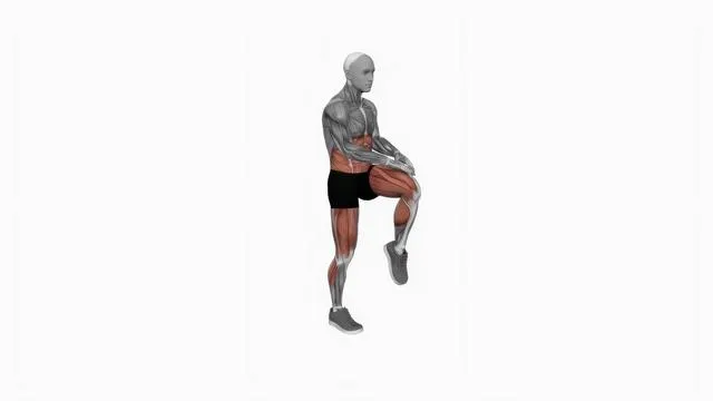 Bodyweight knee thrust (2)