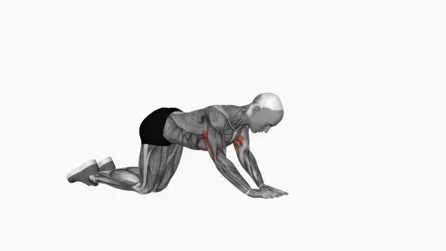 Bodyweight kneeling triceps extension (2)