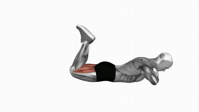 Bodyweight lying leg curl (2)
