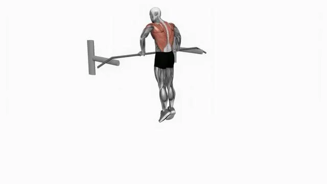 Bodyweight Muscle Up (2)