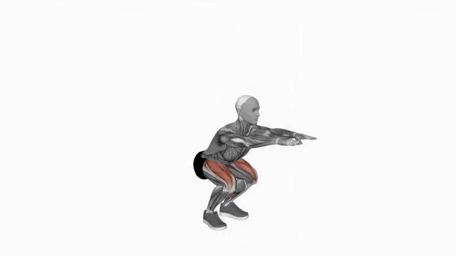 Bodyweight Squat (2)