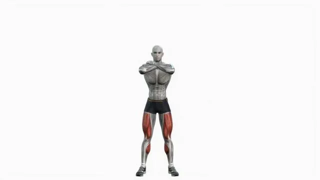 Bodyweight Squat (5)